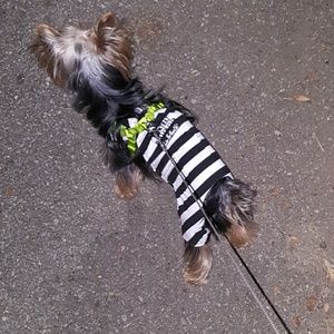 Meet your Posher, Natalie